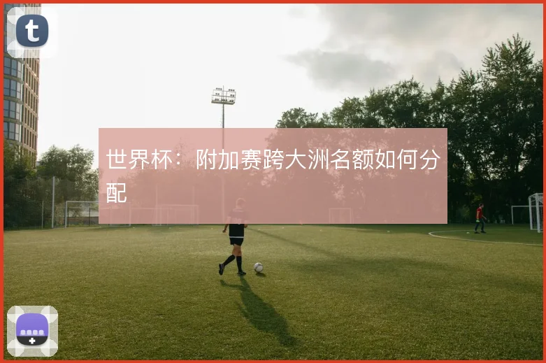 世界杯：附加赛跨大洲名额如何分配